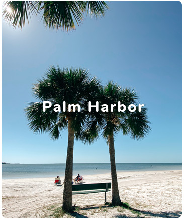 palm-harbor-beach